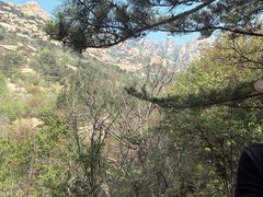 -崂山巨峰游览区