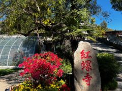 -红螺寺