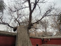 -天宁寺