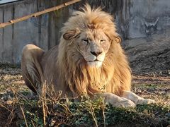 -石家庄市动物园