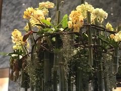 -北京康莱德酒店