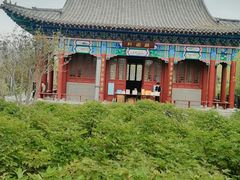 -曹州牡丹园