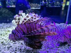 -海合安天津极地海洋公园