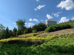 -滨河世纪广场公园