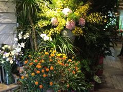 -春暖花开(西溪店)