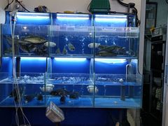 -百家鲜·杭帮菜