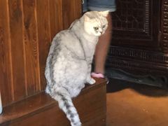 -不舍昼夜咖啡馆