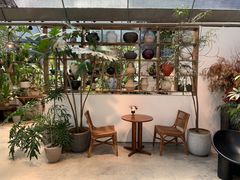 -自由生长植物工作室(深港花卉中心店)