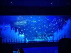 -多彩贵州城极地海洋世界