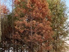 -云龙湖旅游景区