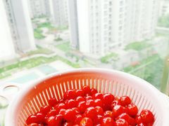 -樱桃山旅游景区