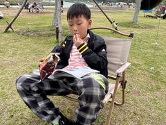 -春花秋色城市公园