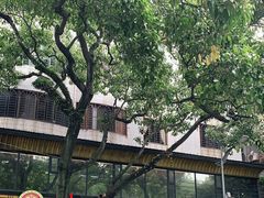 -潮镇老尾牛杂(环城西路店)