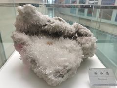 -延庆地质公园博物馆