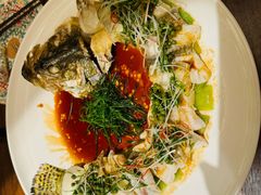 清蒸鳜鱼-觅唐MITONG(鸟巢店)