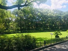 -申粤轩酒楼·三十年粤菜经典(丁香花园店)