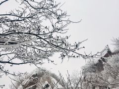 -北京凤凰岭