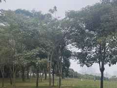 -深圳湾公园(南山区)