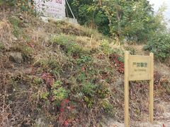 -北京鹫峰国家森林公园