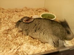 -龙猫仔乐园(惠福东路店)