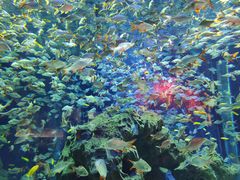 -成都浩海立方海洋公园