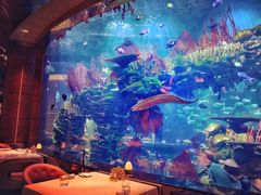 -迪拜帆船酒店海底餐厅