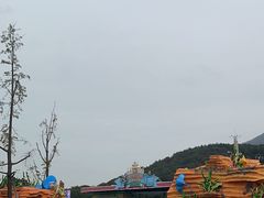 -无锡动物园·太湖欢乐园