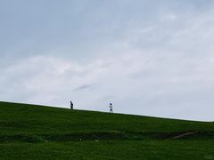 -关山草原