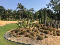 -海花岛旅游度假区