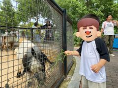 -石家庄市动物园