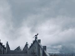 -黄河九曲第一湾