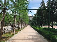 -东北大学(南湖校区)