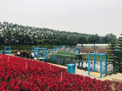 -迪茵湖田家舍生态农场