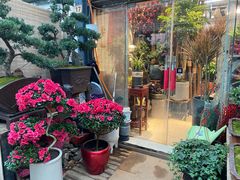 -武汉花鸟市场