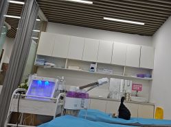 -素美医疗美容·西南眼鼻整形·修复基地