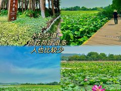 -云龙湖旅游景区