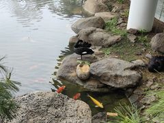 -罗红摄影艺术馆