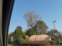 -官亭林海