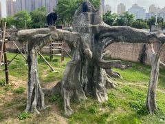 -南昌动物园