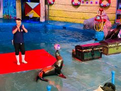 -烟台海昌鲸鲨海洋公园