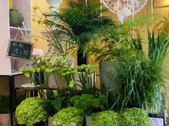 -蝶舍·MAISON PAPILLON