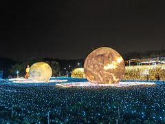 -海上田园