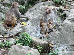 -黔灵山公园