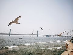 -星海广场