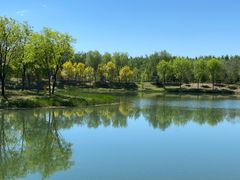 -东郊湿地公园