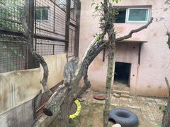 -青藏高原野生动物园