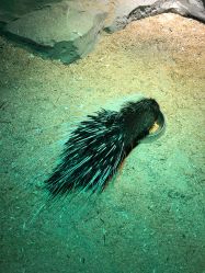 -酷嗒动物文化乐园(cutezoo西溪乐天城店)