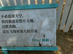 -东南花都花博园