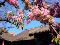 -张学良旧居陈列馆