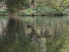 -西湖游船